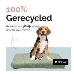 Rexproduct Hondenkussen - Hondenmand - Hondenbed Met Rits En Wasbaar - Manden & Kussens 90 X 110 CM - 0 Tot 80 Kg - SoftPet Groen -Hondenbenodigdheden Korting 1200x1200 1389