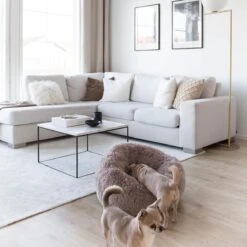 District 70 FUZZ - Hondenmand Comfortabel En Zacht Pluche - Zand, Oudroze, Donkergrijs En Lichtgrijs In S/M/L/XL - Maat: Medium, Kleur: Zand -Hondenbenodigdheden Korting 1200x1200 1395