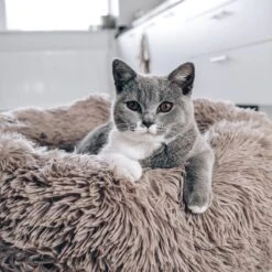 District 70 FUZZ - Hondenmand Comfortabel En Zacht Pluche - Zand, Oudroze, Donkergrijs En Lichtgrijs In S/M/L/XL - Maat: Medium, Kleur: Zand -Hondenbenodigdheden Korting 1200x1200 1396