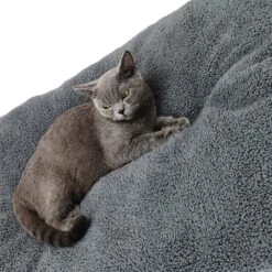 Pochon Pet - Hondenkussen - 70 X 50 Cm - Donkergrijs - Pluche - L 10 Pochon Pet - Hondenkussen - 70 X 50 Cm - Donkergrijs - Pluche - L -Hondenbenodigdheden Korting 1200x1200 1405