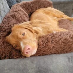 Origineel Hondendeken Voor Bank– Hondenkleed Fluffy – Pluche Hondenbed - Hondenmand Premium - Volledig Afritsbaar -Hondenbenodigdheden Korting 1200x1200 1427