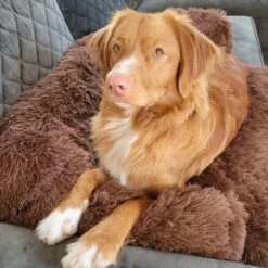 Origineel Hondendeken Voor Bank– Hondenkleed Fluffy – Pluche Hondenbed - Hondenmand Premium - Volledig Afritsbaar -Hondenbenodigdheden Korting 1200x1200 1429