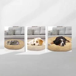 Peaceful Pooch S - Pluizig Hondenbed - 58cm Diameter - Opvouwbaar - In Verschillende Maten. Kattenbed - Wasbaar - Uitneembare Vulling - Ontspant Gewrichten En Spieren - Anti-slip Noppenbodem 8 Peaceful Pooch S - Pluizig Hondenbed - 58cm Diameter - Opvouwbaar - In Verschillende Maten. Kattenbed - Wasbaar - Uitneembare Vulling - Ontspant Gewrichten En Spieren - Anti-slip Noppenbodem -Hondenbenodigdheden Korting 1200x1200 1442
