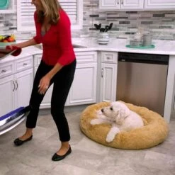 Peaceful Pooch S - Pluizig Hondenbed - 58cm Diameter - Opvouwbaar - In Verschillende Maten. Kattenbed - Wasbaar - Uitneembare Vulling - Ontspant Gewrichten En Spieren - Anti-slip Noppenbodem 11 Peaceful Pooch S - Pluizig Hondenbed - 58cm Diameter - Opvouwbaar - In Verschillende Maten. Kattenbed - Wasbaar - Uitneembare Vulling - Ontspant Gewrichten En Spieren - Anti-slip Noppenbodem -Hondenbenodigdheden Korting 1200x1200 1445