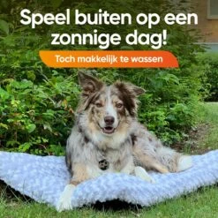 Happysnoots Hondenkussen 70 X 50cm - Hondenbed - Donut Dog Bed - Fluffy - Grijs - Wasbaar -Hondenbenodigdheden Korting 1200x1200 1462