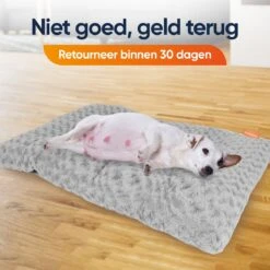 Happysnoots Hondenkussen 70 X 50cm - Hondenbed - Donut Dog Bed - Fluffy - Grijs - Wasbaar -Hondenbenodigdheden Korting 1200x1200 1466