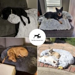Premium Hondendeken Bank - Hondenkussens - Hondenmand Bank - Hondendeken Voor Op De Bank - Bankbeschermer - Donkergrijs -Hondenbenodigdheden Korting 1200x1200 1478