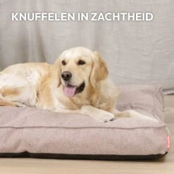 Snoozle Orthopedische Hondenmand - Zacht En Luxe Hondenkussen - Hondenbed - Wasbaar - Hondenmanden - 80 X 55 Cm - Desert Pink -Hondenbenodigdheden Korting 1200x1200 1482