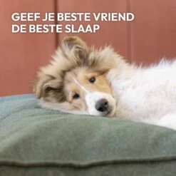 Snoozle Orthopedische Hondenmand - Zacht En Luxe Hondenkussen - Hondenbed - Wasbaar - Hondenmanden - 80 X 55 Cm - Desert Pink -Hondenbenodigdheden Korting 1200x1200 1485