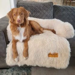 Origineel Hondendeken Voor Bank M – Hondenkleed Fluffy – Pluche Hondenbed - Hondenmand Premium - Volledig Afritsbaar - Beige -Hondenbenodigdheden Korting 1200x1200 1499