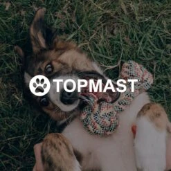 Topmast Waterproof Benchkussen - Nylon - Antraciet - 90 X 60 Cm - Benchmat - Benchmatras - Waterafstotend - Hondenkussen 9 Topmast Waterproof Benchkussen - Nylon - Antraciet - 90 X 60 Cm - Benchmat - Benchmatras - Waterafstotend - Hondenkussen -Hondenbenodigdheden Korting 1200x1200 1528