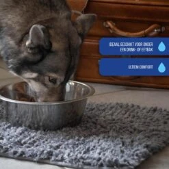 Royal Dry Absorberende Anti-knoeimat Voor Honden – Trekt Vuil Als Een Spons – Laat Geen Vocht Door – 61x45 Cm – Microfiber Chenille – Geschikt Voor Honden En Overige Huisdieren 12 Royal Dry Absorberende Anti-knoeimat Voor Honden – Trekt Vuil Als Een Spons – Laat Geen Vocht Door – 61x45 Cm – Microfiber Chenille – Geschikt Voor Honden En Overige Huisdieren -Hondenbenodigdheden Korting 1200x1200 1532