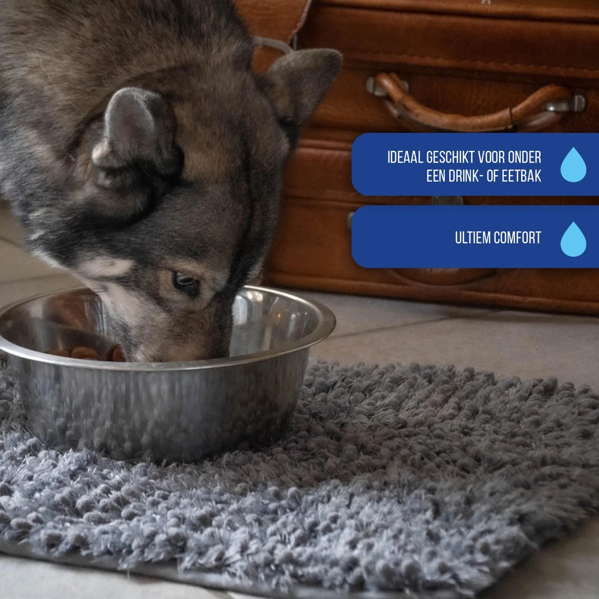 Royal Dry Absorberende Anti-knoeimat Voor Honden – Trekt Vuil Als Een Spons – Laat Geen Vocht Door – 61x45 Cm – Microfiber Chenille – Geschikt Voor Honden En Overige Huisdieren 6 Royal Dry Absorberende Anti-knoeimat Voor Honden – Trekt Vuil Als Een Spons – Laat Geen Vocht Door – 61x45 Cm – Microfiber Chenille – Geschikt Voor Honden En Overige Huisdieren - Afbeelding 6