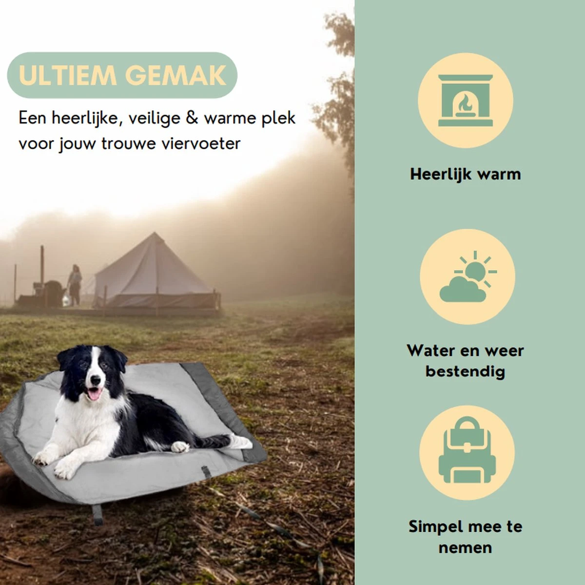 Bolobo | Hondenslaapzak - Dierenslaapzak - Hondencave - Hondenmand Cave - Cozy Cave - Slaapzak Hond - Hondenmand - Hondenkussen - Travelbag - Dentalsticks - Kampeerslaapzak 3 Bolobo | Hondenslaapzak - Dierenslaapzak - Hondencave - Hondenmand Cave - Cozy Cave - Slaapzak Hond - Hondenmand - Hondenkussen - Travelbag - Dentalsticks - Kampeerslaapzak - Afbeelding 3