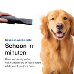 Vivid Green Waterblazer Met 3 Opzetstukken - Hondenfohn - Voor Honden - Met Geluiddemper - 2800W 16 Vivid Green Waterblazer Met 3 Opzetstukken - Hondenfohn - Voor Honden - Met Geluiddemper - 2800W -Hondenbenodigdheden Korting 1200x1200 159