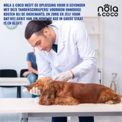 Nola & Coco® Tandsteen Verwijderaar Set Inclusief Bewaardoosje - Tandenkrabber - Set Van Twee - Hond - Kat - Tandenborstel - Tandplak Verwijderen - Tandenstoker - Honden Tanden Schoonmaken - Tandenhaakje - Gebitsreiniging -Hondenbenodigdheden Korting 1200x1200 1610