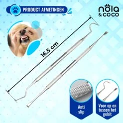 Nola & Coco® Tandsteen Verwijderaar Set Inclusief Bewaardoosje - Tandenkrabber - Set Van Twee - Hond - Kat - Tandenborstel - Tandplak Verwijderen - Tandenstoker - Honden Tanden Schoonmaken - Tandenhaakje - Gebitsreiniging -Hondenbenodigdheden Korting 1200x1200 1612