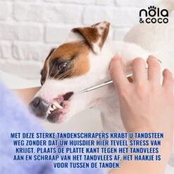 Nola & Coco® Tandsteen Verwijderaar Set Inclusief Bewaardoosje - Tandenkrabber - Set Van Twee - Hond - Kat - Tandenborstel - Tandplak Verwijderen - Tandenstoker - Honden Tanden Schoonmaken - Tandenhaakje - Gebitsreiniging -Hondenbenodigdheden Korting 1200x1200 1613