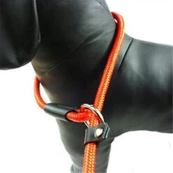 LOUZIR Cesar Millan Sliplijn Met Stop - Hondenriem - Rood - 130 Cm -Hondenbenodigdheden Korting 1200x1200 1666