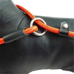 LOUZIR Cesar Millan Sliplijn Met Stop - Hondenriem - Rood - 130 Cm -Hondenbenodigdheden Korting 1200x1200 1669