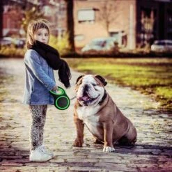 IGOODS - Hondenriem - Katten Riem - Uitlaatriem Voor Honden En Katten - Honden Riem- Rollijn - 5 Meter Lang -Hondenbenodigdheden Korting 1200x1200 1682