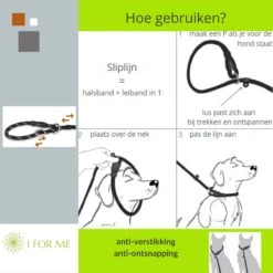 1FORME Hondenriem 15-25kg - Sliplijn Hond REFLECTEREND 2m, 1cm Ø - Jachtlijn 2 Ergonomische Handvaten - Dubbel Stop 23 1FORME Hondenriem 15-25kg - Sliplijn Hond REFLECTEREND 2m, 1cm Ø - Jachtlijn 2 Ergonomische Handvaten - Dubbel Stop -Hondenbenodigdheden Korting 1200x1200 1695