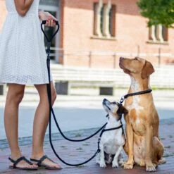 Rebel Petz - Dubbele Verstelbare Hondenriem Voor Twee Honden - Met Draaibare Sluiting En Zacht Handvat - Small En Large - Large (140 Cm Lang, Ø 12 Mm) 25 Rebel Petz - Dubbele Verstelbare Hondenriem Voor Twee Honden - Met Draaibare Sluiting En Zacht Handvat - Small En Large - Large (140 Cm Lang, Ø 12 Mm) -Hondenbenodigdheden Korting 1200x1200 1698