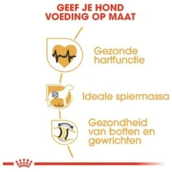 Royal Canin Rottweiler 12 KG 18 Royal Canin Rottweiler 12 KG -Hondenbenodigdheden Korting 1200x1200 17