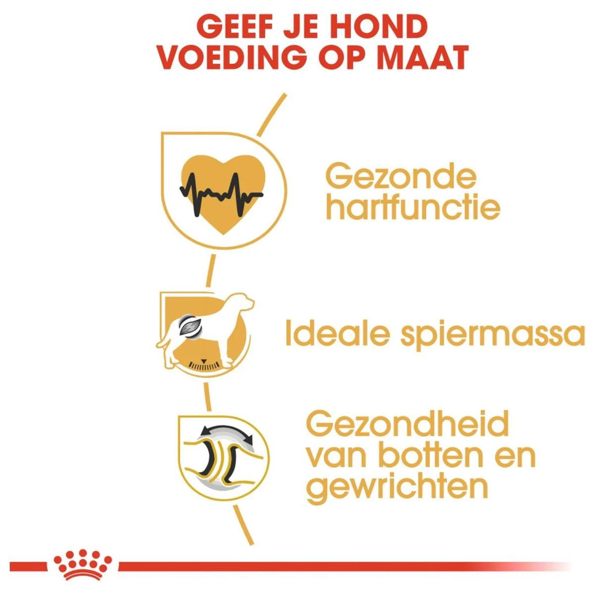 Royal Canin Rottweiler 12 KG 4 Royal Canin Rottweiler 12 KG - Afbeelding 4