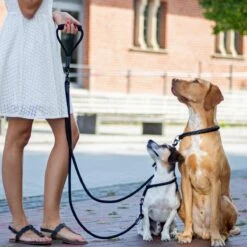 Rebel Petz - Dubbele Verstelbare Hondenriem Voor Twee Honden - Met Draaibare Sluiting En Zacht Handvat - Small En Large - Large (140 Cm Lang, Ø 12 Mm) 29 Rebel Petz - Dubbele Verstelbare Hondenriem Voor Twee Honden - Met Draaibare Sluiting En Zacht Handvat - Small En Large - Large (140 Cm Lang, Ø 12 Mm) -Hondenbenodigdheden Korting 1200x1200 1700