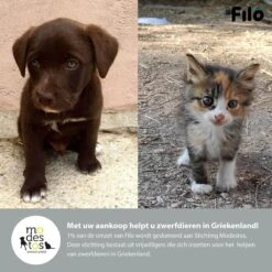 Filo Elastische Hondenriem Groot - Hardlopen En Wandelen - Hardloopriem Hond Handsfree Met Heuptasje - Looplijn Met Heupriem - Canicross Gordel Honden - Riemen - Heupgordel - Leiband 17 Filo Elastische Hondenriem Groot - Hardlopen En Wandelen - Hardloopriem Hond Handsfree Met Heuptasje - Looplijn Met Heupriem - Canicross Gordel Honden - Riemen - Heupgordel - Leiband -Hondenbenodigdheden Korting 1200x1200 1706