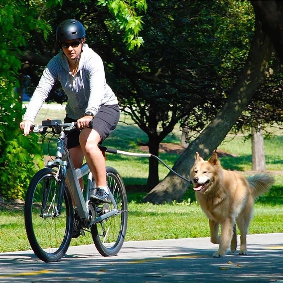 Fiets Hondenriem - Fietsbeugel Voor De Hond -Honden Fietsbeugel - Hondenlijn-Lijn Dog- Afstandshouder Hond 2 Fiets Hondenriem - Fietsbeugel Voor De Hond -Honden Fietsbeugel - Hondenlijn-Lijn Dog- Afstandshouder Hond - Afbeelding 2