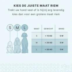 Hondenriem Tape - 5 Meter - Medium - Voor Honden <25 Kg - Zwart-Wit -Hondenbenodigdheden Korting 1200x1200 1727