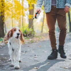 Hondenriem Tape - 5 Meter - Medium - Voor Honden <25 Kg - Zwart-Wit -Hondenbenodigdheden Korting 1200x1200 1728