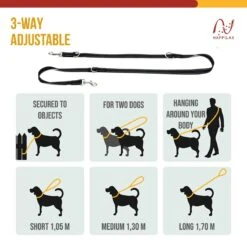 Happilax Dog Leash 2m Adjustable - Black/Reflective - 3-Step Adjustable Leash - Double Leash, Tug Leash - Geschikt Als Hondenriem Voor Grote Honden Of Als Sleepriem Voor Kleine Honden. -Hondenbenodigdheden Korting 1200x1200 1735