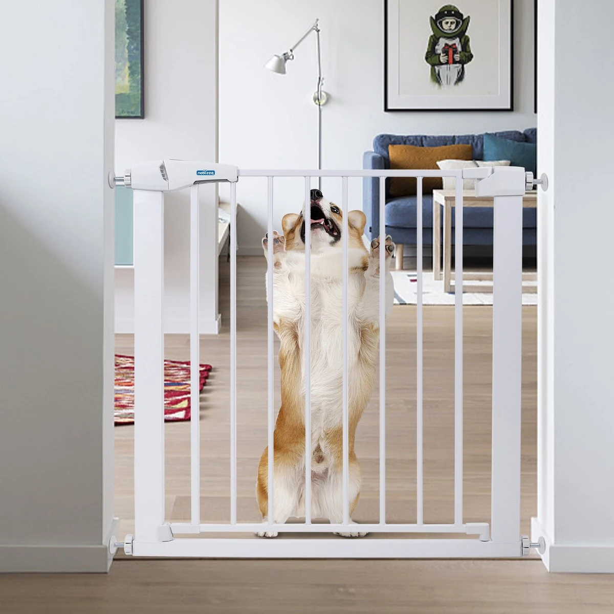 Nobleza 47B4V - Hondenhek - Metaal - H76 X L75-82 Cm - Wit 1 Nobleza 47B4V - Hondenhek - Metaal - H76 X L75-82 Cm - Wit