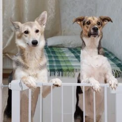 Nobleza 47B4V - Hondenhek - Metaal - H76 X L75-82 Cm - Wit 12 Nobleza 47B4V - Hondenhek - Metaal - H76 X L75-82 Cm - Wit -Hondenbenodigdheden Korting 1200x1200 1771