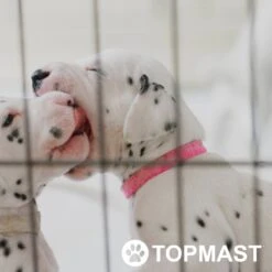 Topmast Puppyren Uitvouwbaar - Zwart - 560 Cm Omtrek - 60 Cm Hoog - Opvouwbaar XL - Hondenren -Hondenbenodigdheden Korting 1200x1200 1789