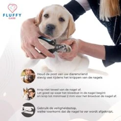 FluffyCare - Professionele Nagelschaar- Nagelschaar Hond - Nagelschaar Kat - Nagelknipper Hond En Kat - Nagelknipper Kat - Nagelknipper Hond - NagelTang Dieren - Poot Verzorging 12 FluffyCare - Professionele Nagelschaar- Nagelschaar Hond - Nagelschaar Kat - Nagelknipper Hond En Kat - Nagelknipper Kat - Nagelknipper Hond - NagelTang Dieren - Poot Verzorging -Hondenbenodigdheden Korting 1200x1200 180