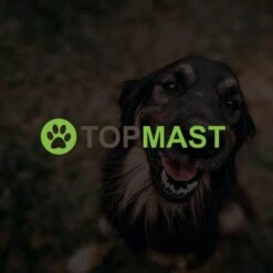 Merkloos Topmast Premium Puppyren - 120 Cm Hoog - 640 Cm Omtrek - Hondenren - Hondenhok - Zwart -Hondenbenodigdheden Korting 1200x1200 1842