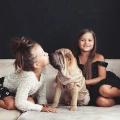 Relaxdays Puppyren - Hondenren - Puppykennel - Konijnenren - Bodem - Metaal - Div. Grootte - M -Hondenbenodigdheden Korting 1200x1200 1850