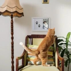 NOVOB® Fotolijst Met Inktafdruk - Pootafdruk Hond - Contactloos - Paw Print - Hondenspeelgoed - Afdruk Huisdier - Cadeau - 23.5 X 29 Cm | Wit 12 NOVOB® Fotolijst Met Inktafdruk - Pootafdruk Hond - Contactloos - Paw Print - Hondenspeelgoed - Afdruk Huisdier - Cadeau - 23.5 X 29 Cm | Wit -Hondenbenodigdheden Korting 1200x1200 1980