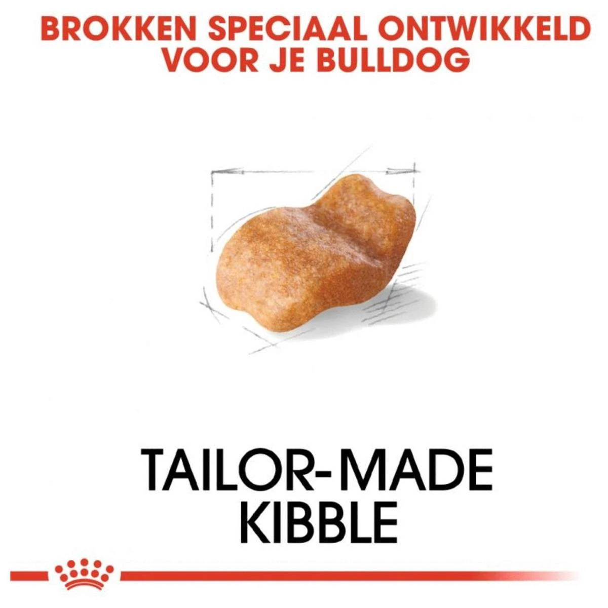 Royal Canin English Bulldog 12 KG 3 Royal Canin English Bulldog 12 KG - Afbeelding 3