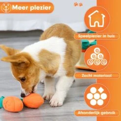Premium Snuffelmat Voor Hond En Kat - Intelligentie Speelgoed - Snuffel Mat Puppy - IQ Hondenspeeltjes - Educatieve Training Huisdier - Snuffeltrainer Hondenpuzzel - Educatief Speelgoed - Vetalo -Hondenbenodigdheden Korting 1200x1200 2004