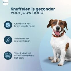 Pawzle Snuffelmat Hond - Likmat - Anti Schrokbak - Honden Speelgoed Intelligentie - Puppy - Inclusief Speelbal - 50x50cm - Blauw 14 Pawzle Snuffelmat Hond - Likmat - Anti Schrokbak - Honden Speelgoed Intelligentie - Puppy - Inclusief Speelbal - 50x50cm - Blauw -Hondenbenodigdheden Korting 1200x1200 2012