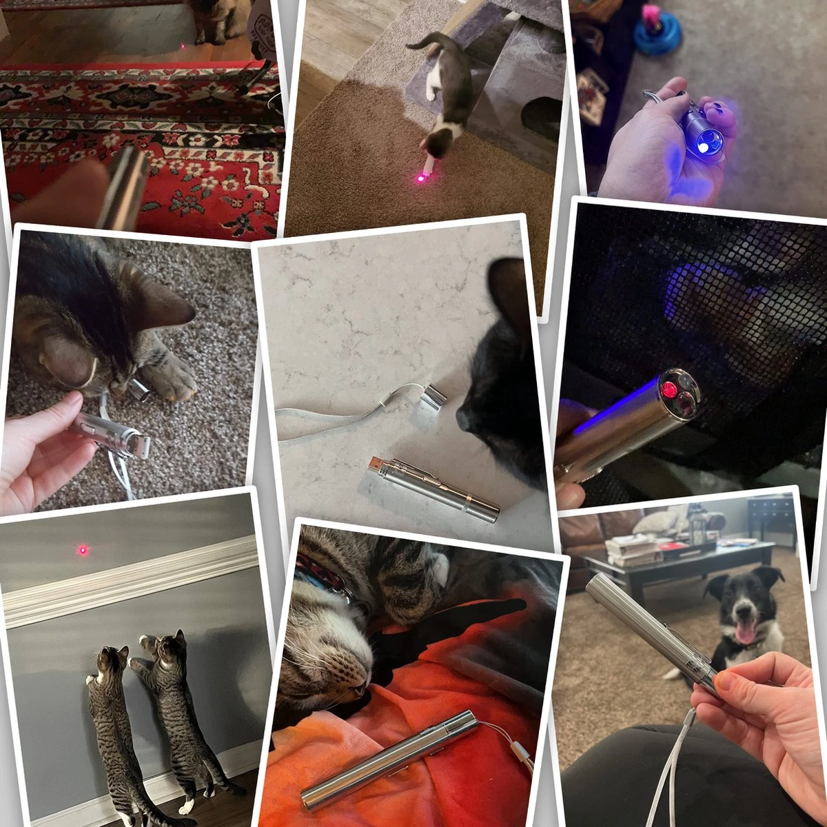 Mittense Laserpen Rood - Gratis E-book En Kat Springveren 6 Mittense Laserpen Rood - Gratis E-book En Kat Springveren - Afbeelding 6