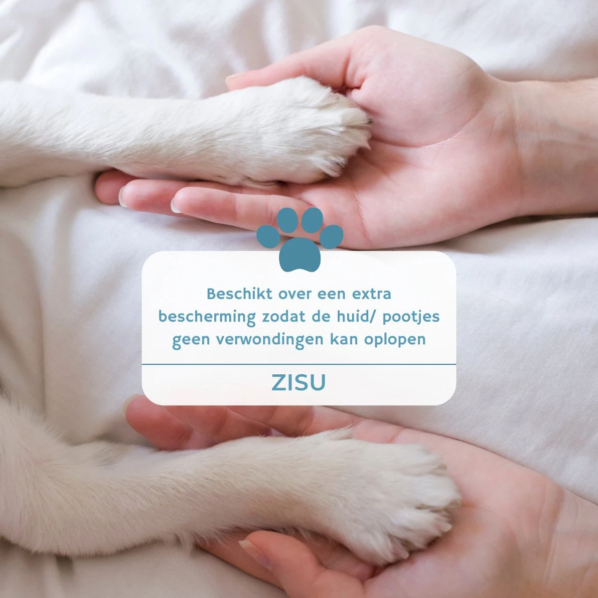 Hondentondeuse - Hondentrimmer - Dieren Tondeuse - Draadloos - 4 Opzetkammen - INCLUSIEF SNACKJE - Zwart 7 Hondentondeuse - Hondentrimmer - Dieren Tondeuse - Draadloos - 4 Opzetkammen - INCLUSIEF SNACKJE - Zwart - Afbeelding 7