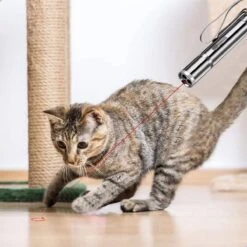 Laserpen - Kattenspeeltjes - Laser - Katten Speelgoed - Kattenspeelgoed - Laserlampje Kat - Speeltjes - Pointer - Lamp - Laserlampje - USB Oplaadbaar 11 Laserpen - Kattenspeeltjes - Laser - Katten Speelgoed - Kattenspeelgoed - Laserlampje Kat - Speeltjes - Pointer - Lamp - Laserlampje - USB Oplaadbaar -Hondenbenodigdheden Korting 1200x1200 2036