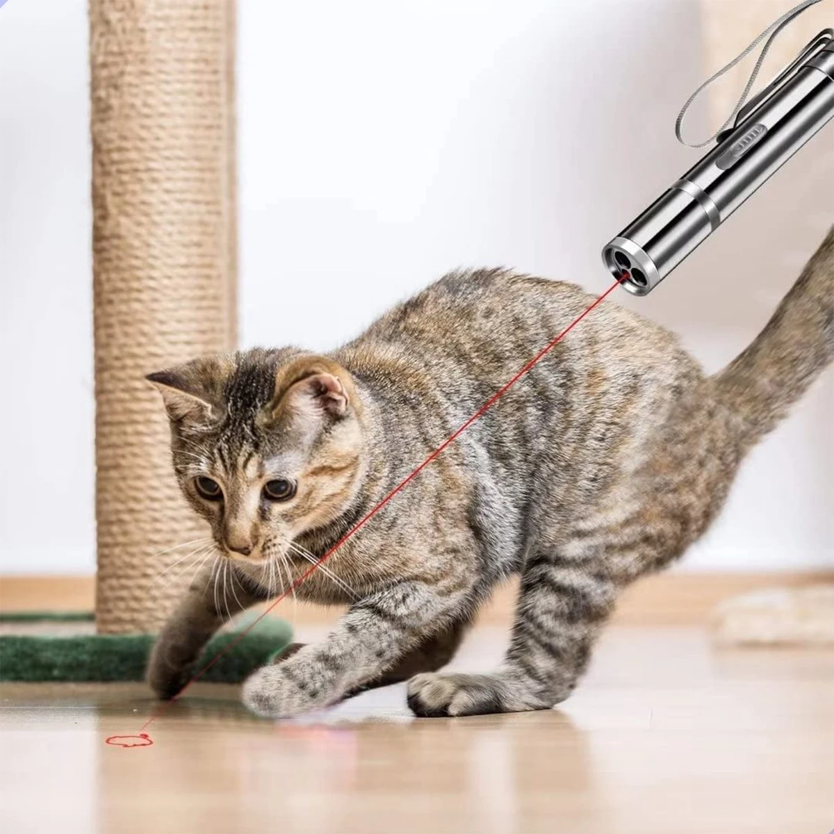 Laserpen - Kattenspeeltjes - Laser - Katten Speelgoed - Kattenspeelgoed - Laserlampje Kat - Speeltjes - Pointer - Lamp - Laserlampje - USB Oplaadbaar 3 Laserpen - Kattenspeeltjes - Laser - Katten Speelgoed - Kattenspeelgoed - Laserlampje Kat - Speeltjes - Pointer - Lamp - Laserlampje - USB Oplaadbaar - Afbeelding 3