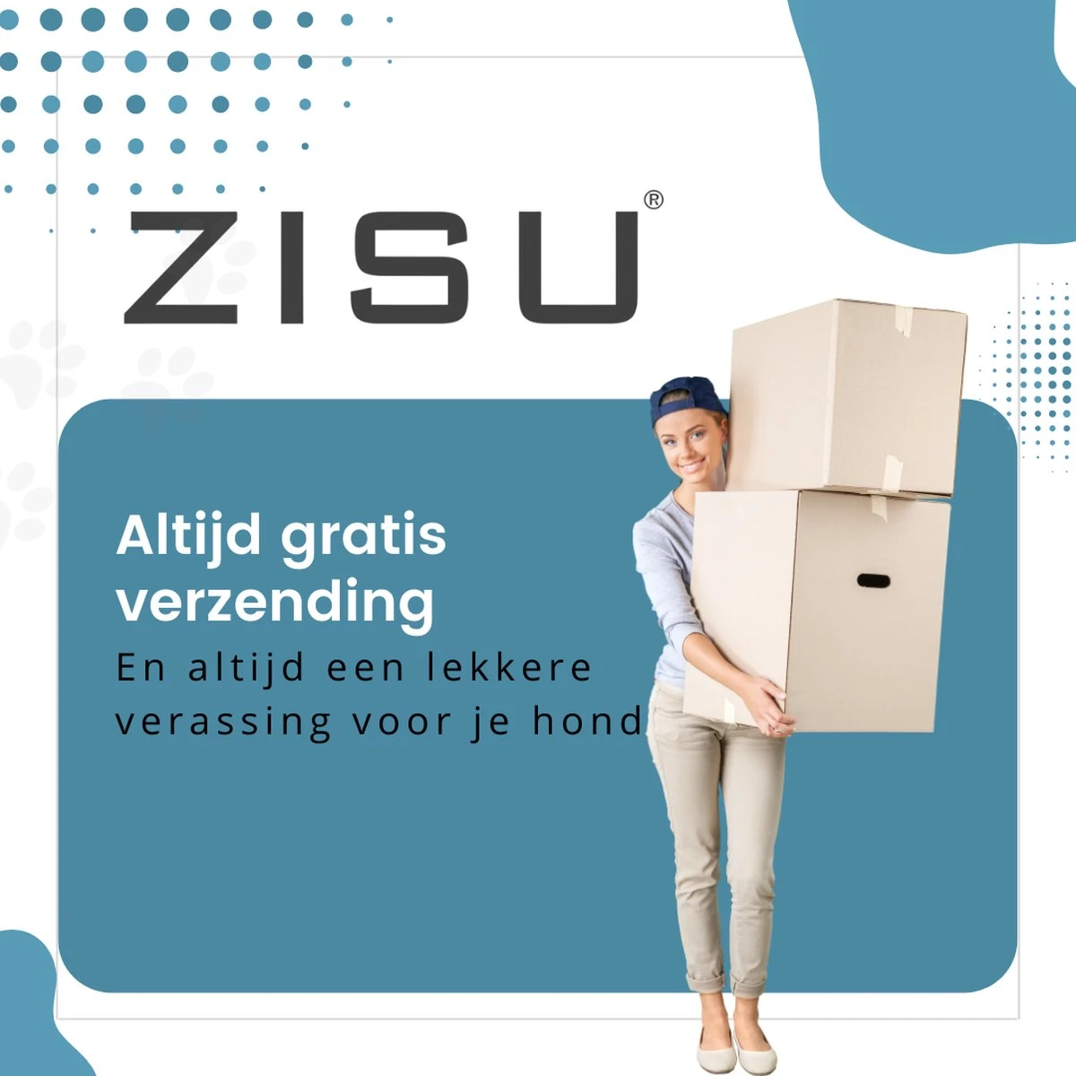 Hondentondeuse - Hondentrimmer - Dieren Tondeuse - Draadloos - 4 Opzetkammen - INCLUSIEF SNACKJE - Zwart 8 Hondentondeuse - Hondentrimmer - Dieren Tondeuse - Draadloos - 4 Opzetkammen - INCLUSIEF SNACKJE - Zwart - Afbeelding 8